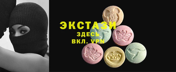 ECSTASY Богданович