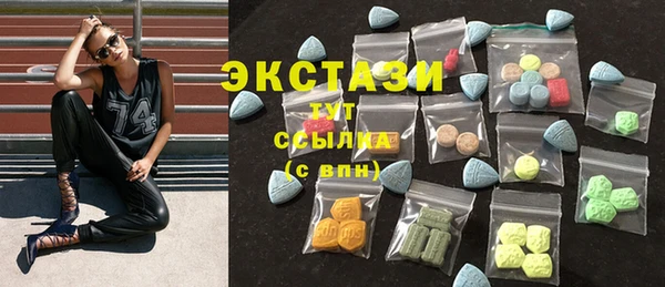 ECSTASY Богданович